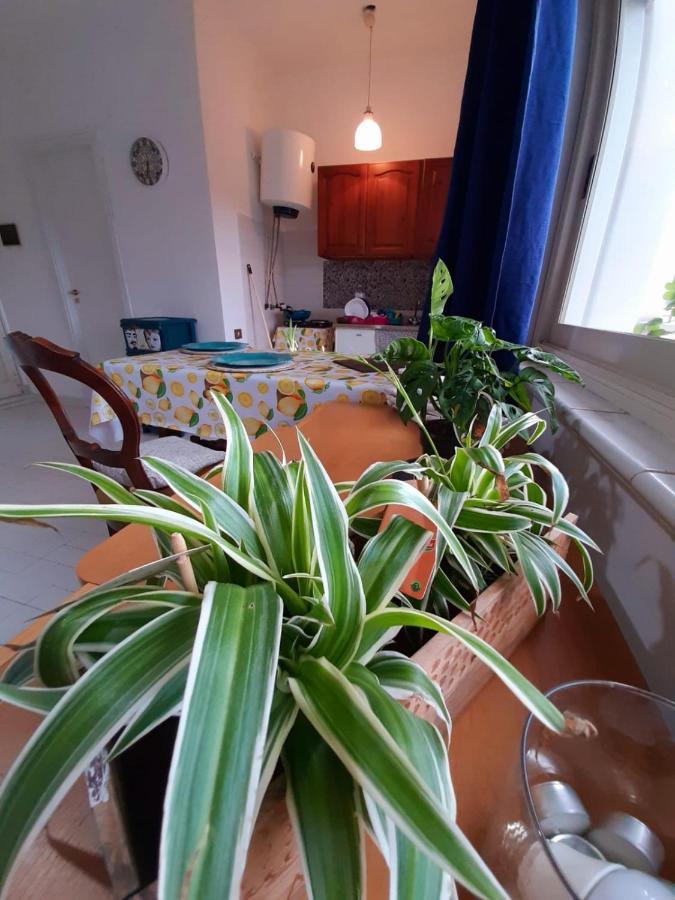 Casa Marisa Villa Palermo Eksteriør bilde